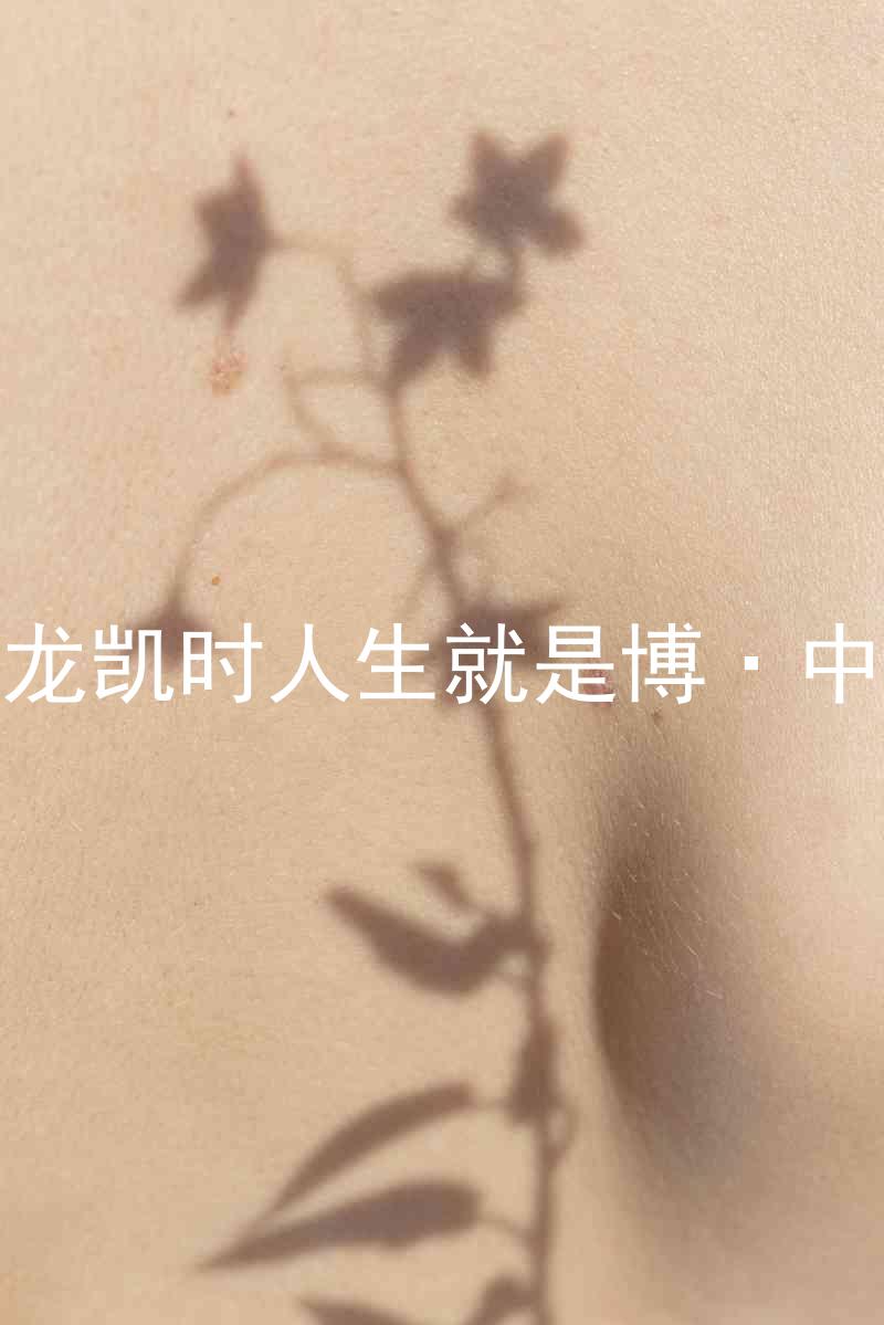 尊龙凯时人生就是博·中国