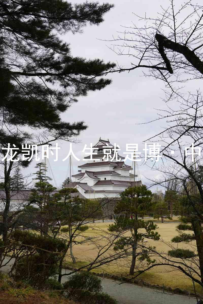尊龙凯时人生就是博·中国